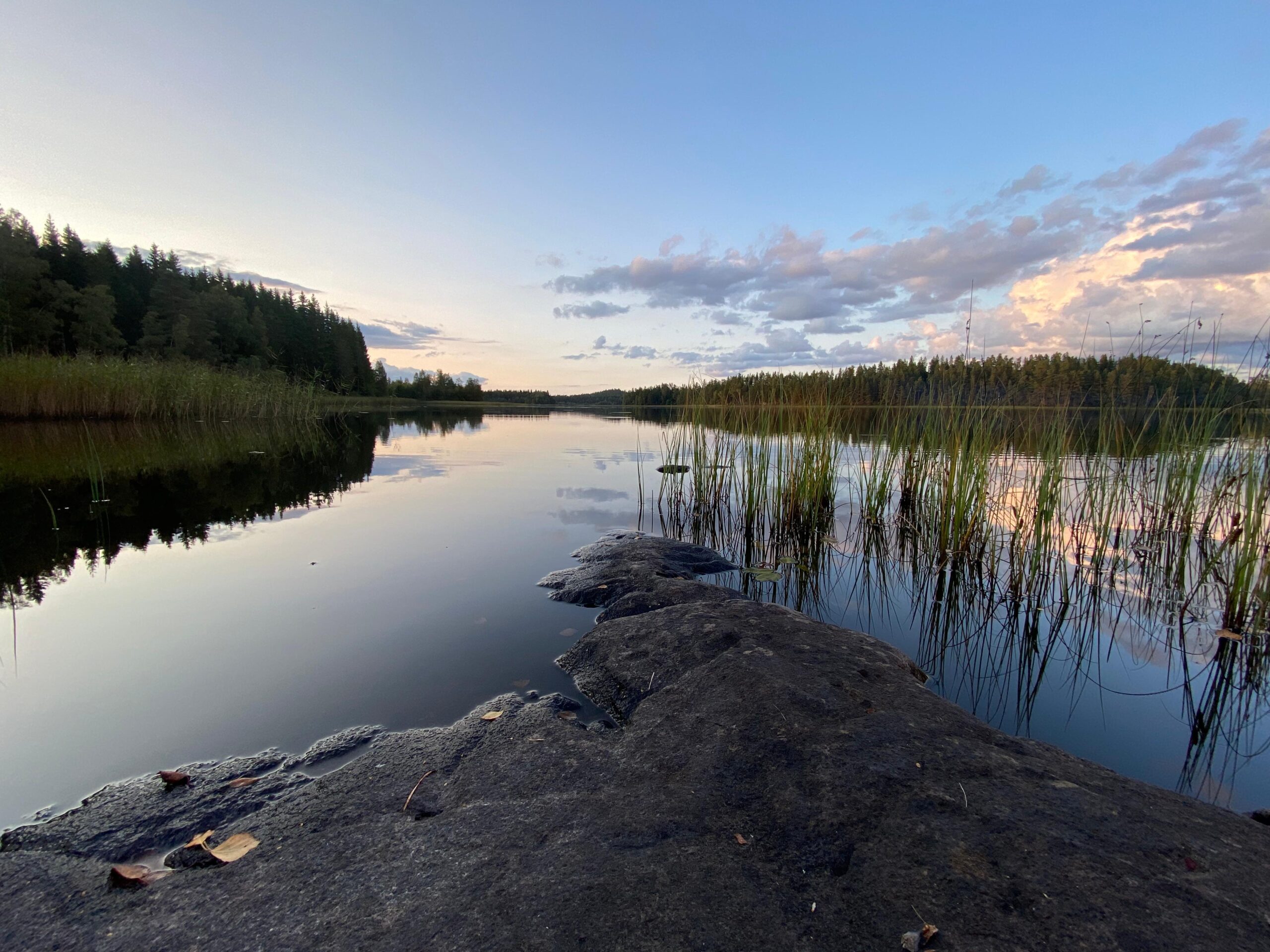 north_out_2